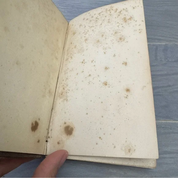 Antique THE SUNNY SIDE; or, the Country Minister's Wife 1851Hardback Book - Picture 9 of 17